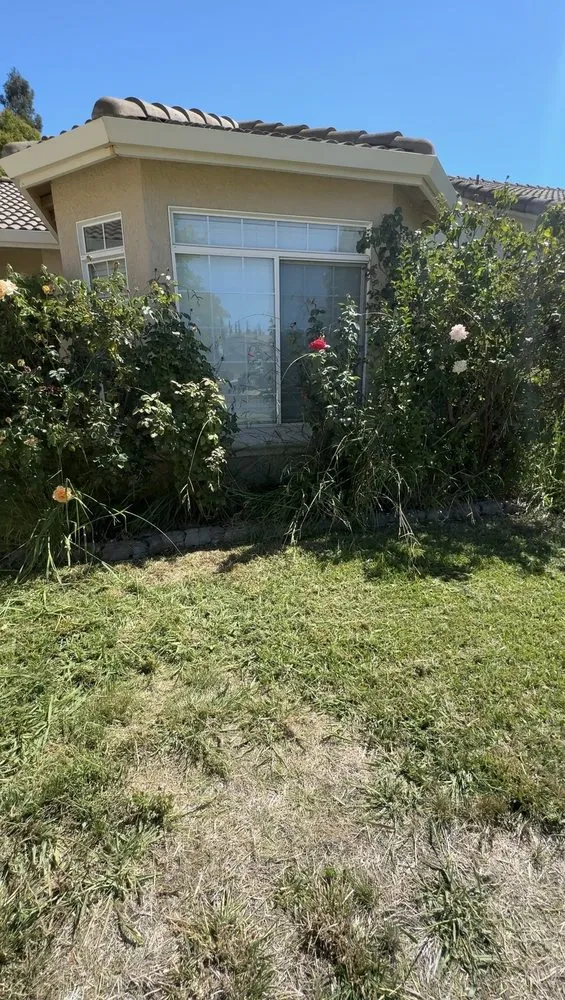 Top-rated garden landscaping in Stockton, CA - Always green lawn care