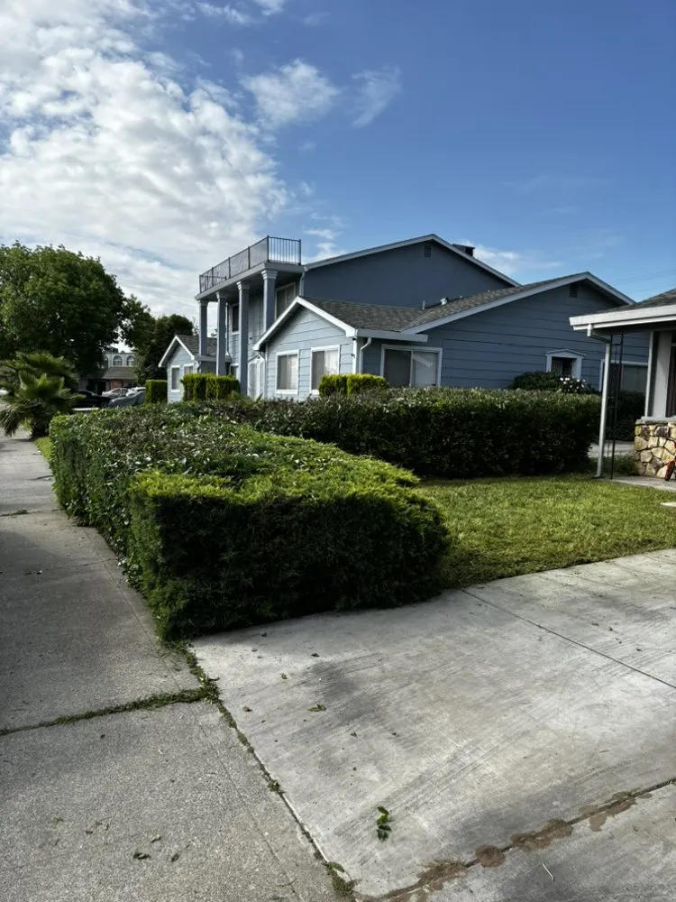 Expert landscape design in Stockton, CA - Always green lawn care