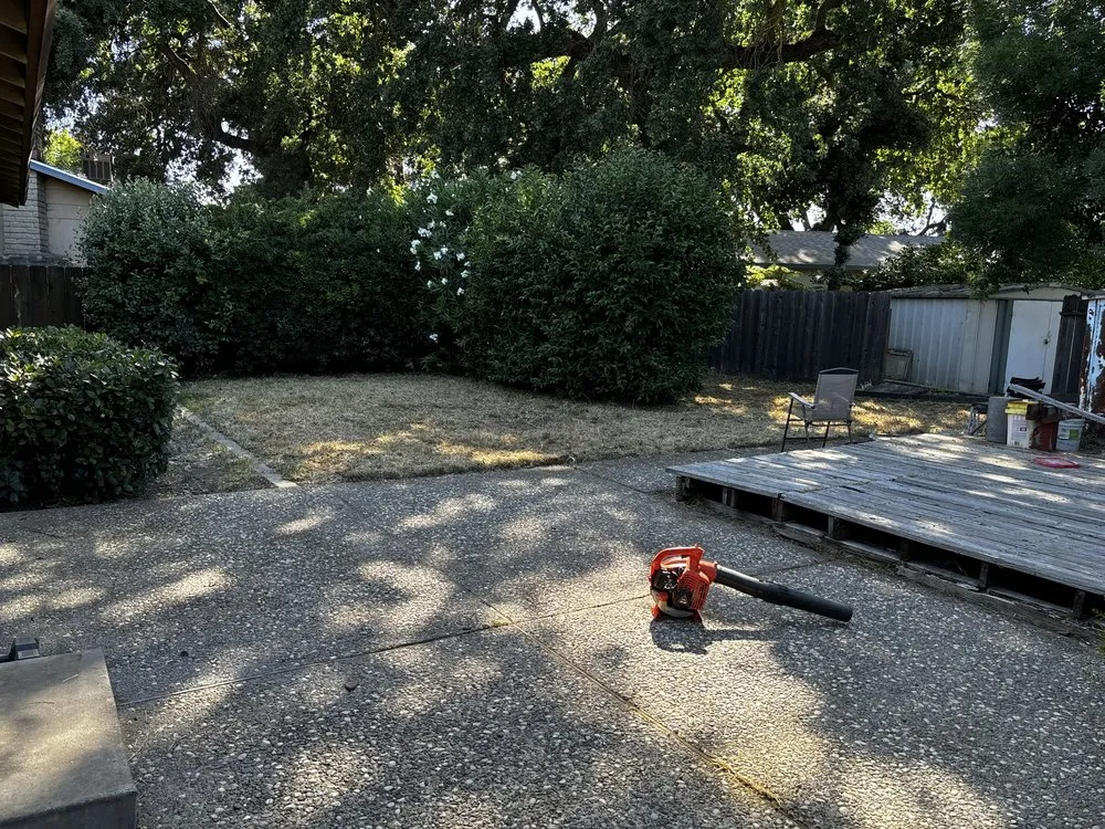 Reliable yard cleanup service with custom design across Stockton, CA - Always green lawn care