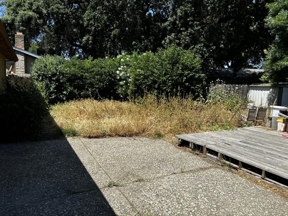 Expert lawn mowing service experts serving Stockton, CA - Always green lawn care