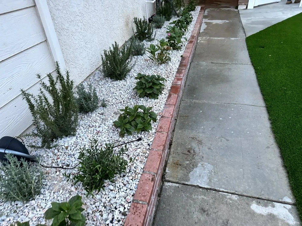 Affordable yard cleanup service in Los Angeles, CA - Always Green Lawn