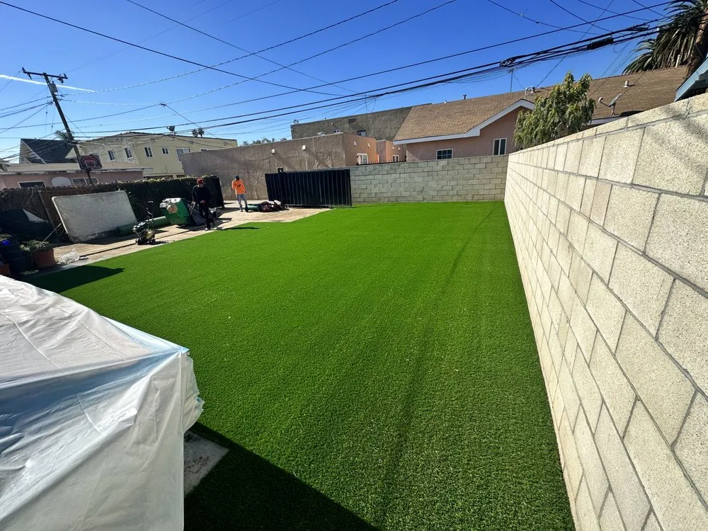 Custom yard maintenance in Los Angeles, CA - Always Green Lawn