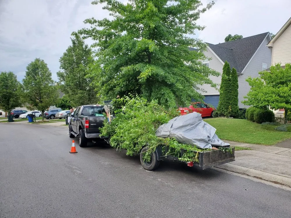 Top-rated landscape installation in Lexington-Fayette, KY by Always Green Lawncare