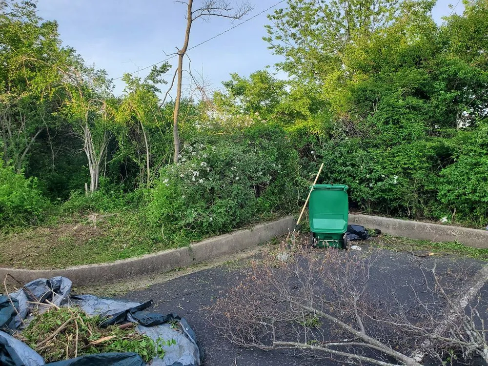 Professional outdoor landscaping near you in Lexington-Fayette, KY by Always Green Lawncare