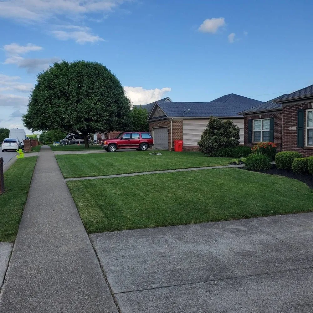 Local landscaping services in Lexington-Fayette, KY - Always Green Lawncare