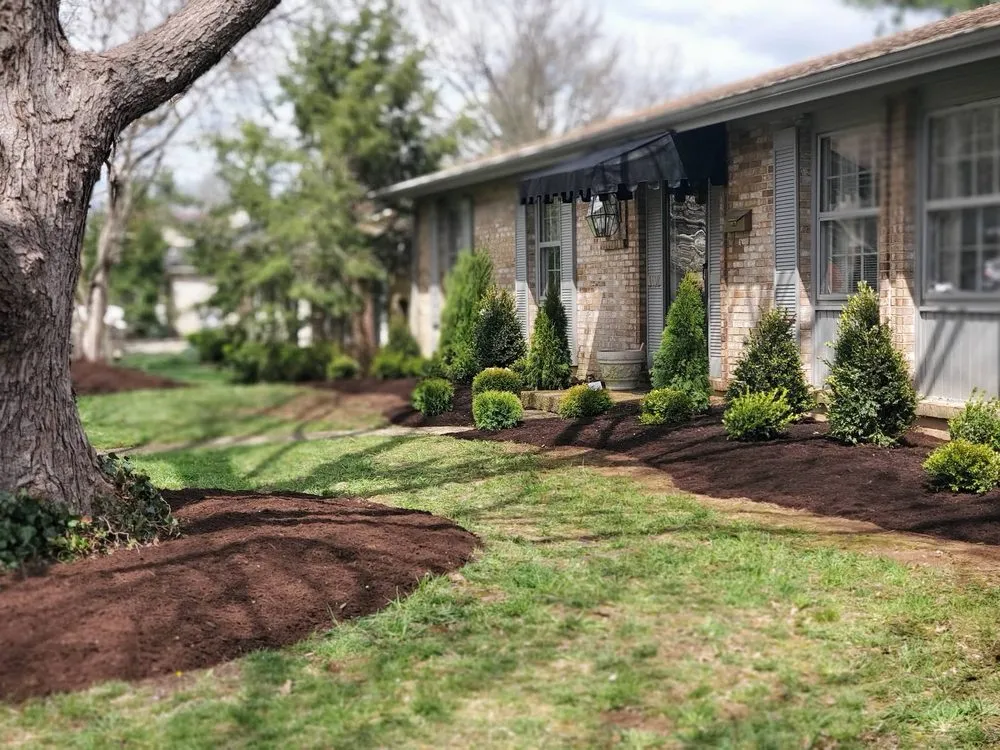 Affordable landscaping services in Lexington-Fayette, KY - Always Green Lawncare
