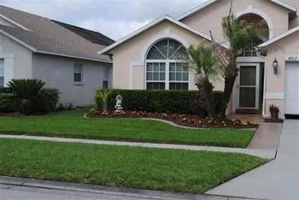 Expert yard cleanup service experts serving Oldsmar, FL - Always Green