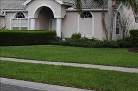 Professional garden landscaping in Oldsmar, FL - Always Green