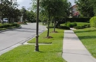 Reliable garden landscaping experts serving Oldsmar, FL - Always Green