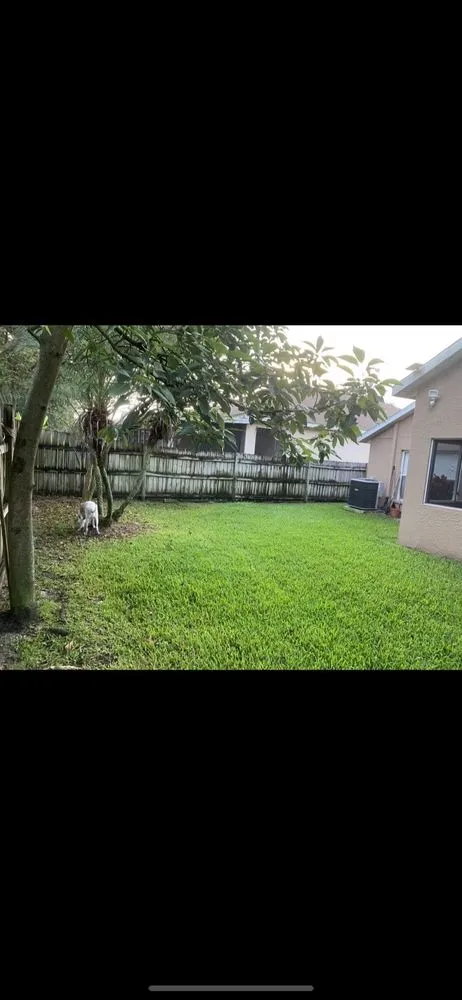 Reliable landscaping services in Oldsmar, FL - Always Green