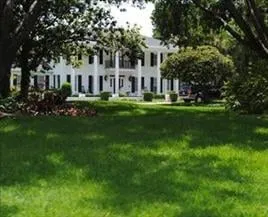 Custom outdoor landscaping in Oldsmar, FL by Always Green