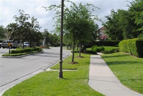 Local lawn mowing service near you across Oldsmar, FL - Always Green