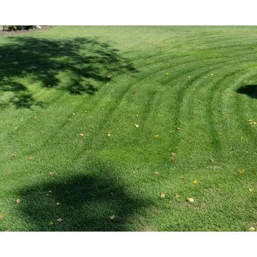 Top-rated landscape installation for residential properties in Biddeford, ME by Always Green Tree Lawn and Landscape