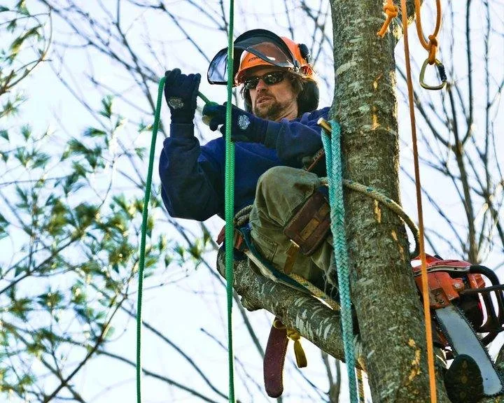 Expert landscape installation experts serving Biddeford, ME - Always Green Tree Lawn and Landscape