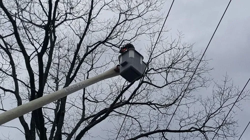 Reliable outdoor landscaping for year-round maintenance in Biddeford, ME by Always Green Tree Lawn and Landscape