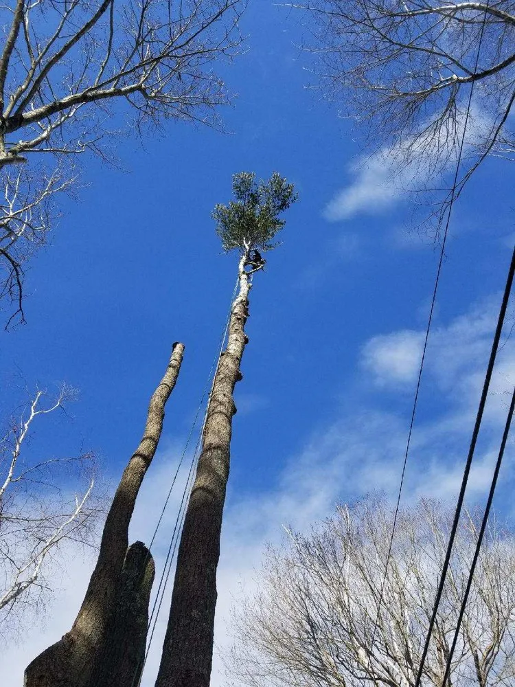 Local lawn mowing service for outdoor upgrades across Biddeford, ME - Always Green Tree Lawn and Landscape