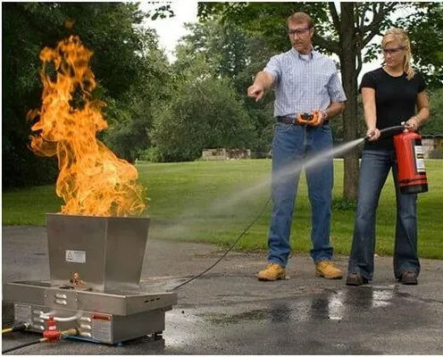 Always Green Tree Lawn and Landscape Logo