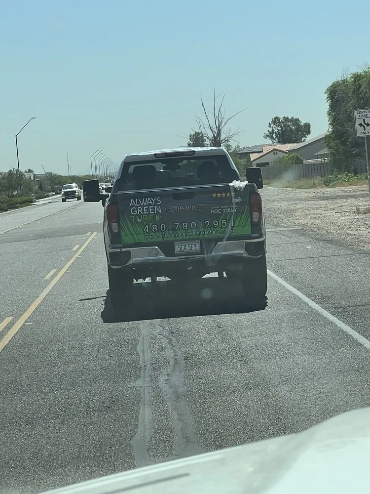 Affordable landscape design experts serving Mesa, AZ - Always Green Turf AZ