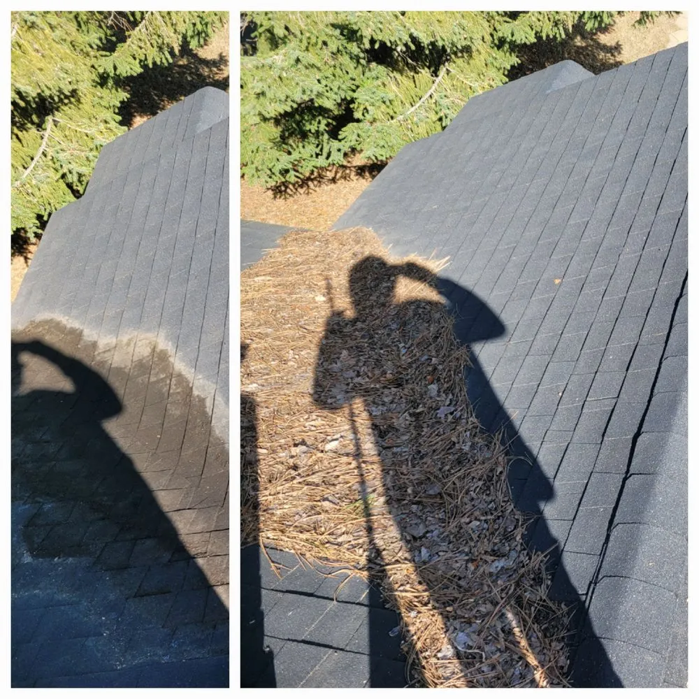 Custom yard cleanup service experts serving Dalton Gardens, ID - Always Greener