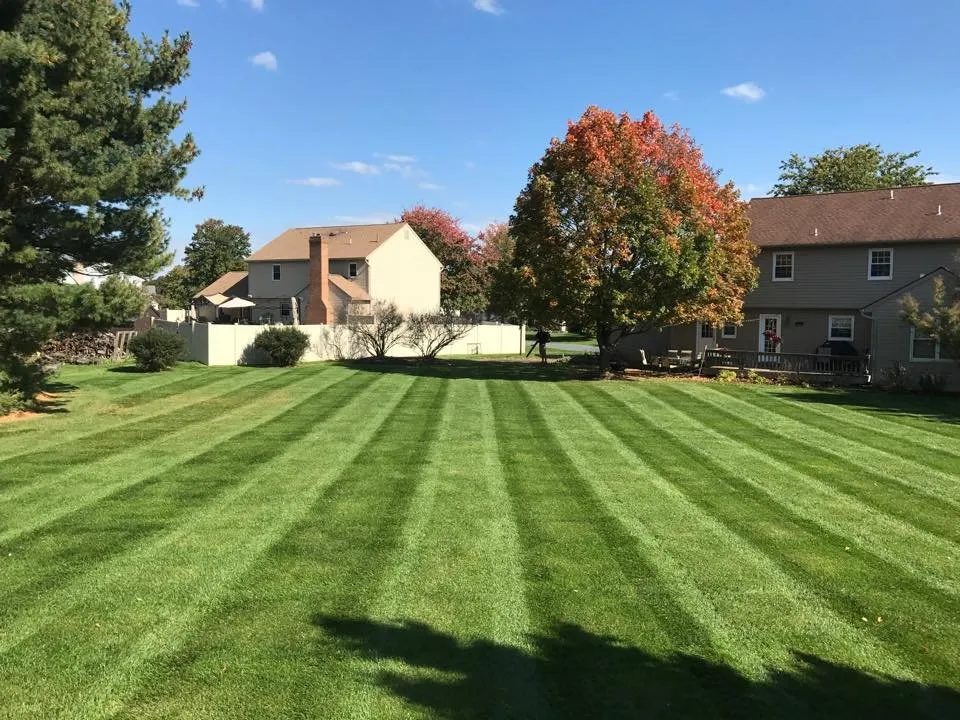 Professional outdoor landscaping in Allentown, PA - Always Greener Landscaping