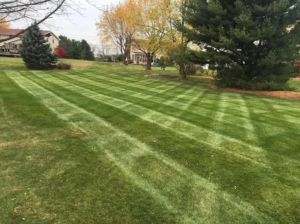 Professional landscape design for outdoor upgrades in Allentown, PA by Always Greener Landscaping