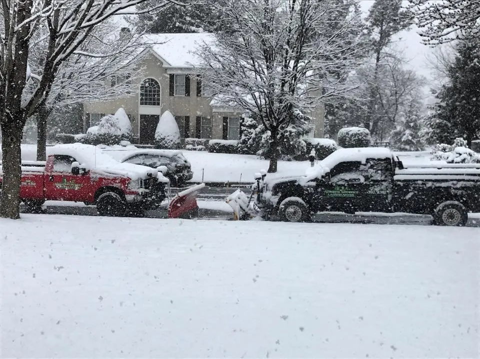 Top-rated yard cleanup service in Allentown, PA - Always Greener Landscaping