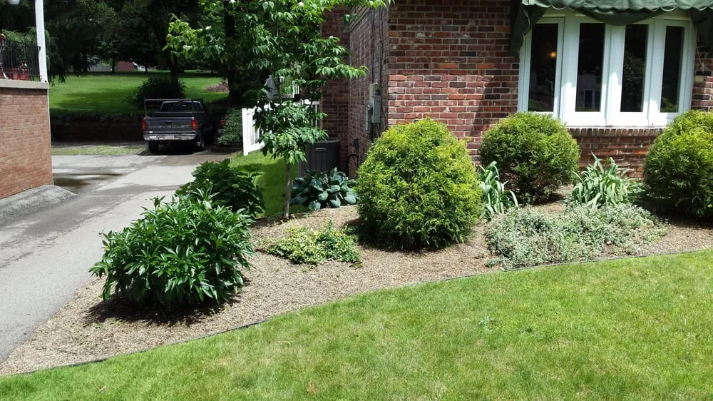 Reliable lawn care service near you across Pittsburgh, PA - Always Greener
