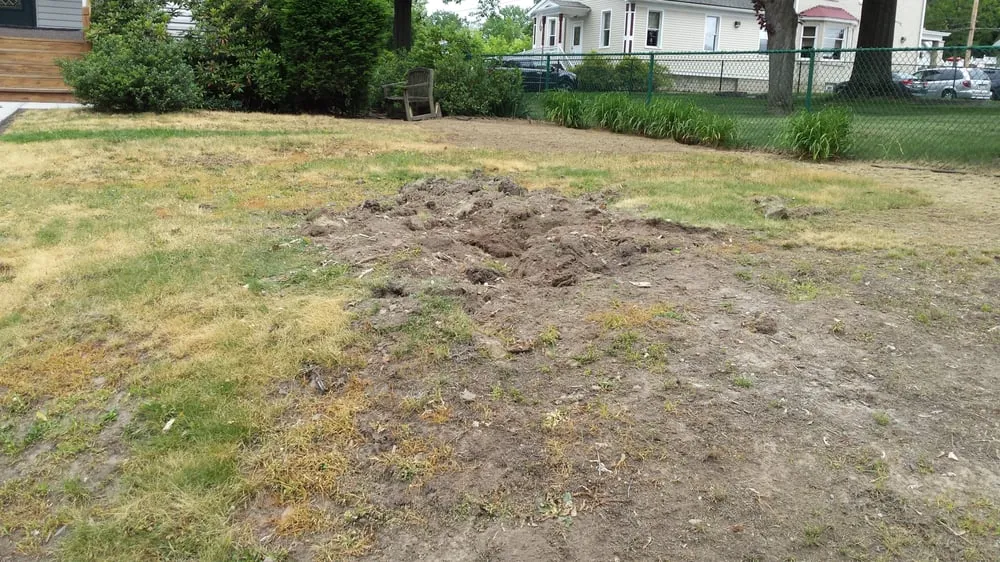 Affordable landscape design for homes in Pittsburgh, PA by Always Greener