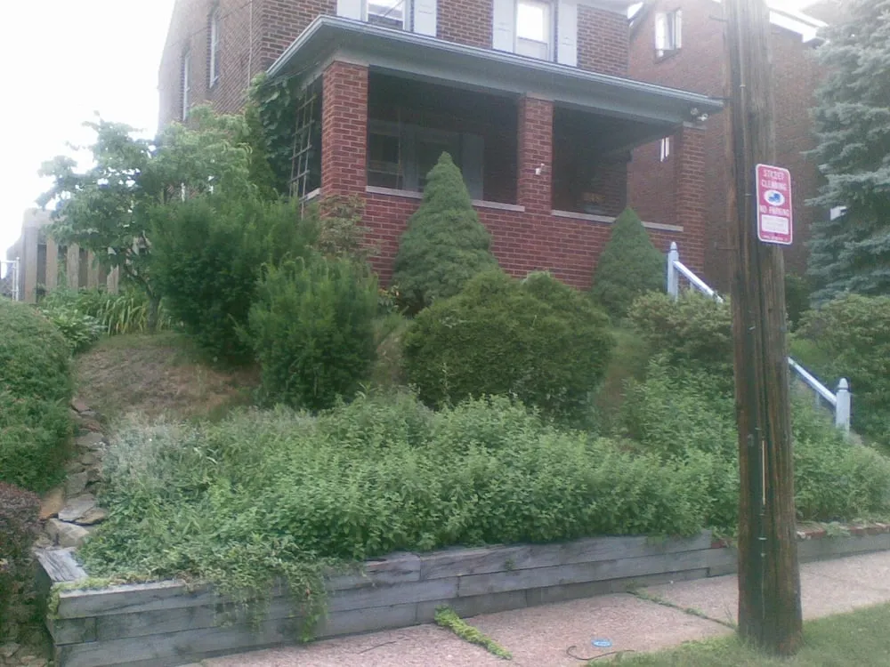 Affordable garden landscaping for beautiful yards across Pittsburgh, PA - Always Greener