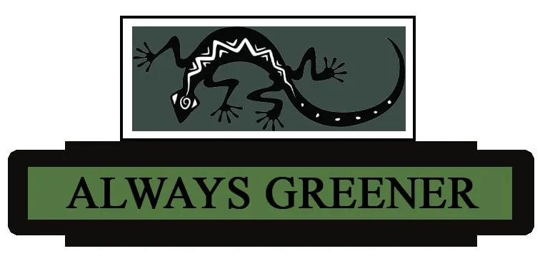 Local yard maintenance for residential properties in Pittsburgh, PA by Always Greener