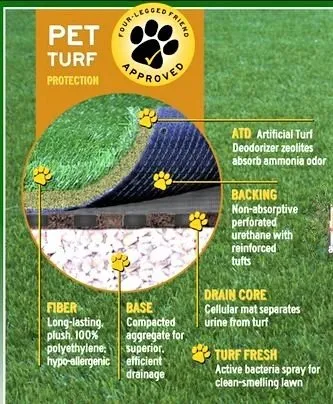 Local landscape installation for year-round maintenance across San Diego, CA - Always Greener