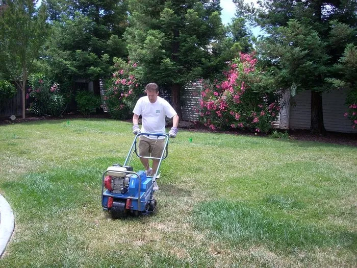 Top-rated lawn care service in San Mateo, CA by Always Keep It Green