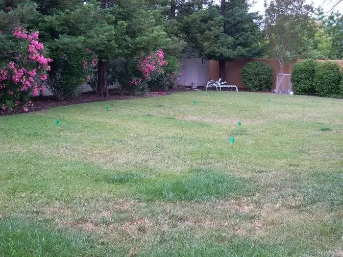 Expert lawn care service in San Mateo, CA - Always Keep It Green