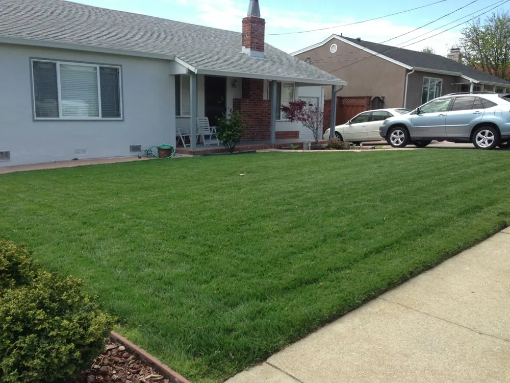 Affordable yard cleanup service in San Mateo, CA - Always Keep It Green