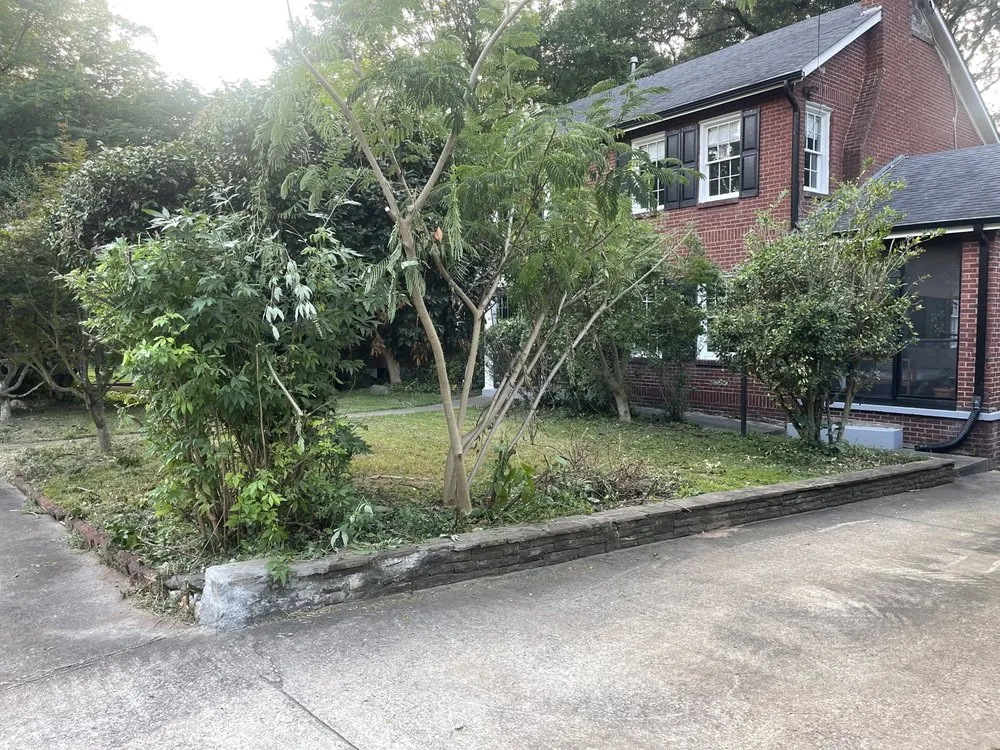 Expert landscape design near you in Jonesboro, GA by Always Looking Forward