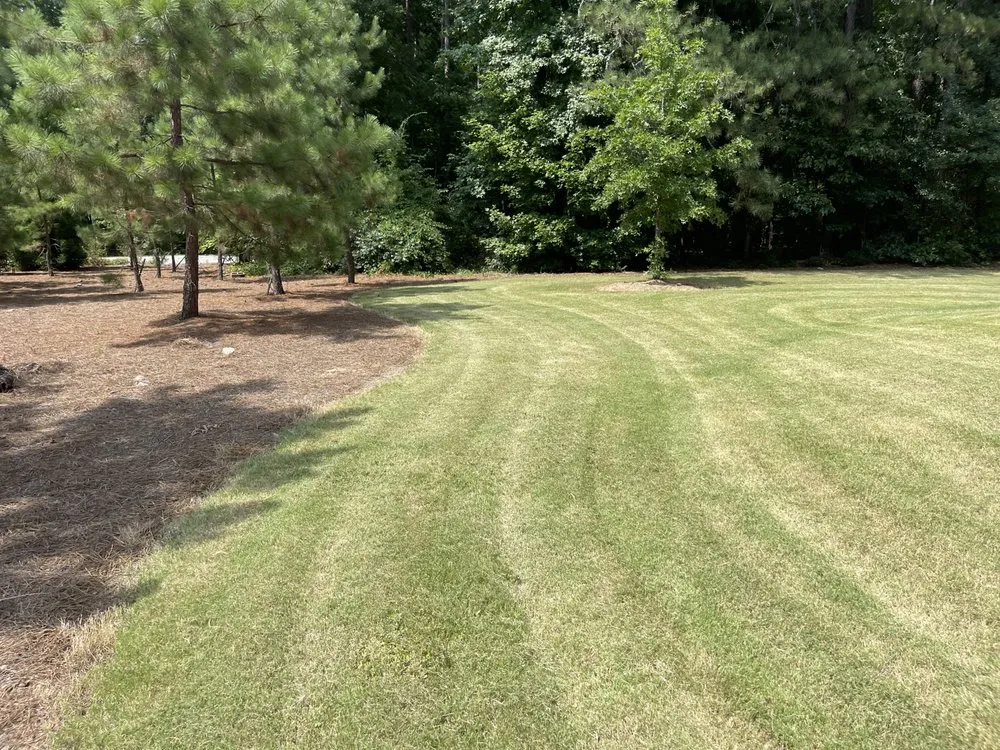 Custom outdoor landscaping experts serving Jonesboro, GA - Always Looking Forward