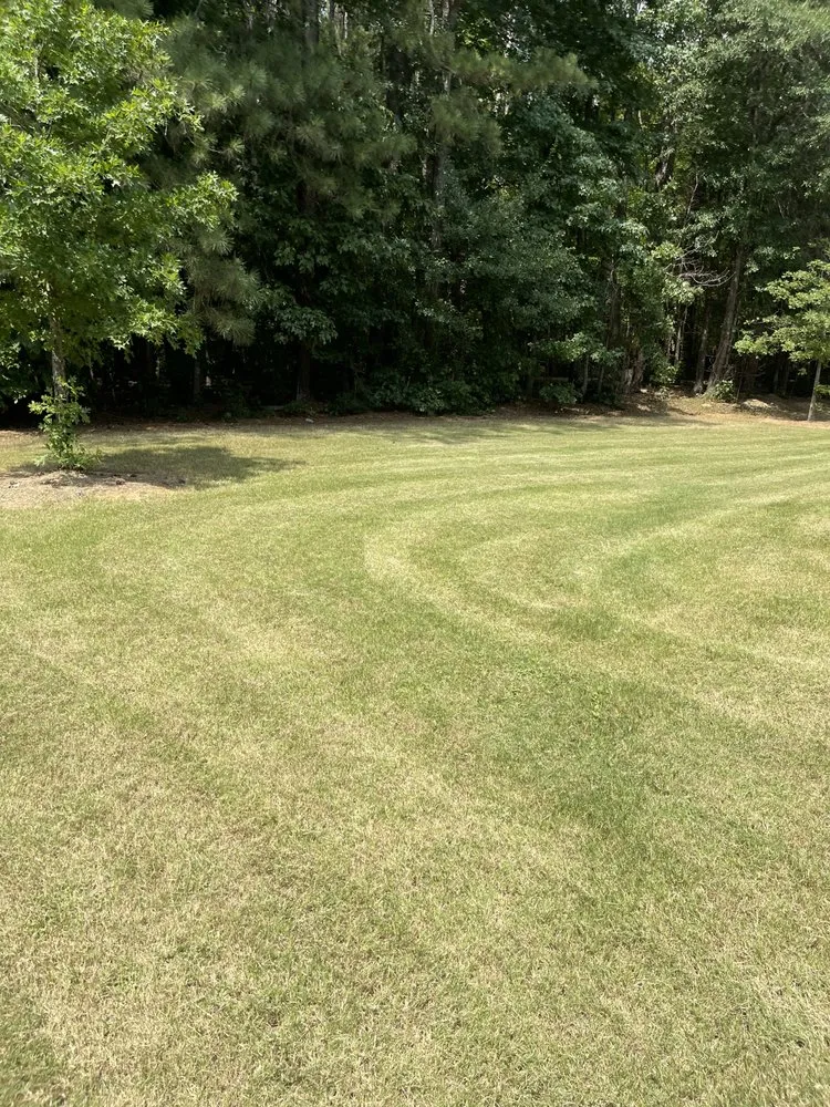 Professional residential landscaping in Jonesboro, GA by Always Looking Forward