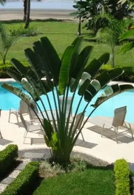 Local garden landscaping for homes in Merritt Island, FL by Always Lovely Lawn Care