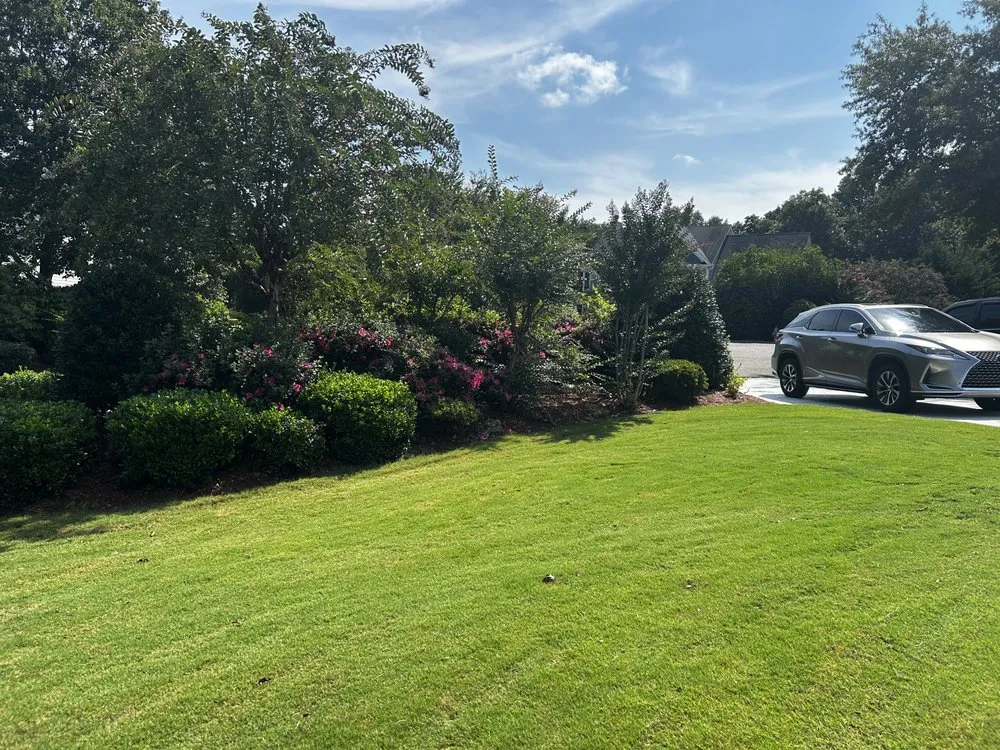 Custom yard maintenance experts serving Buford, GA - Always On Time Lawn Care