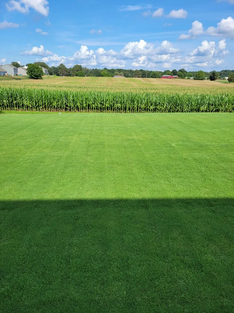 Top-rated outdoor landscaping in Monroe, NC - Always Outside Turf Care