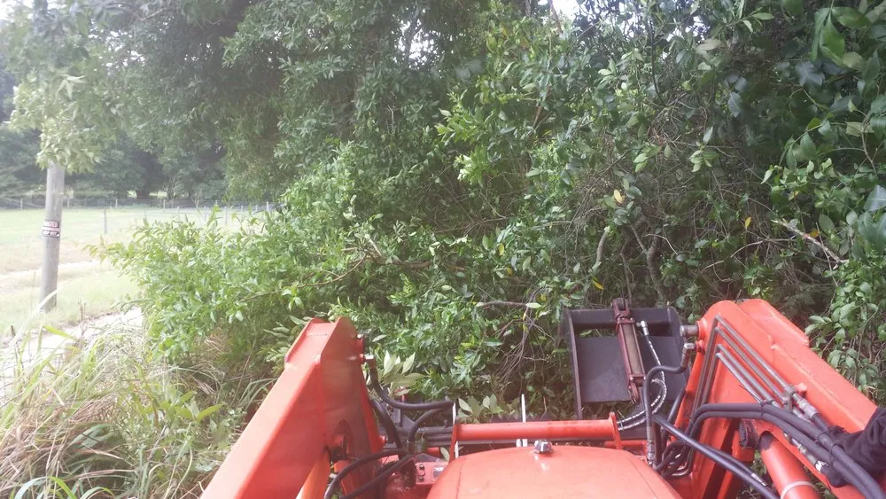 Professional garden landscaping for beautiful yards in Groveland, FL by Always Passin Grass