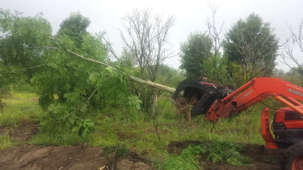 Expert landscape design experts serving Groveland, FL - Always Passin Grass