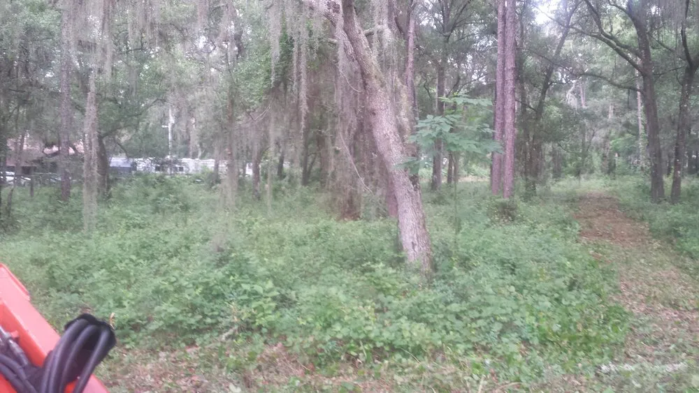 Top-rated garden landscaping for year-round maintenance in Groveland, FL by Always Passin Grass