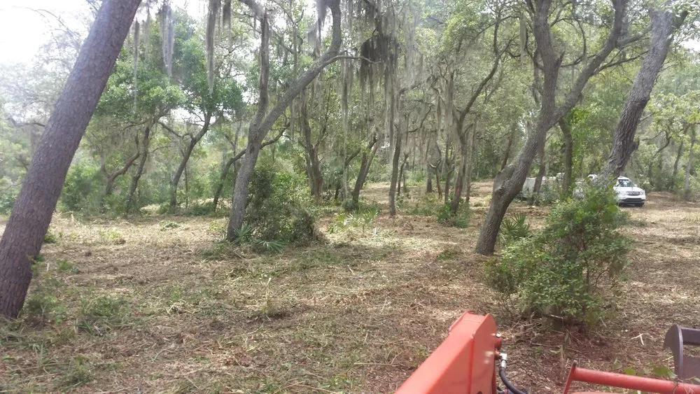 Local outdoor landscaping experts serving Groveland, FL - Always Passin Grass