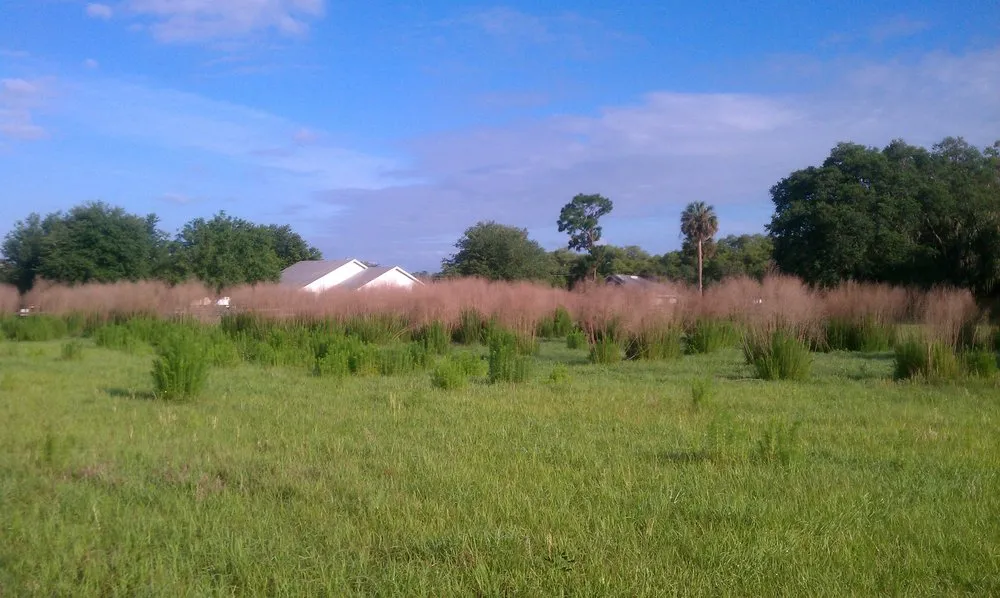 Local yard cleanup service experts serving Groveland, FL - Always Passin Grass