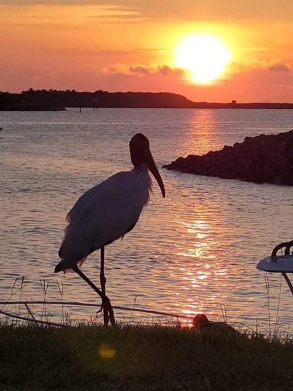 Affordable yard cleanup service for homes across Groveland, FL - Always Passin Grass