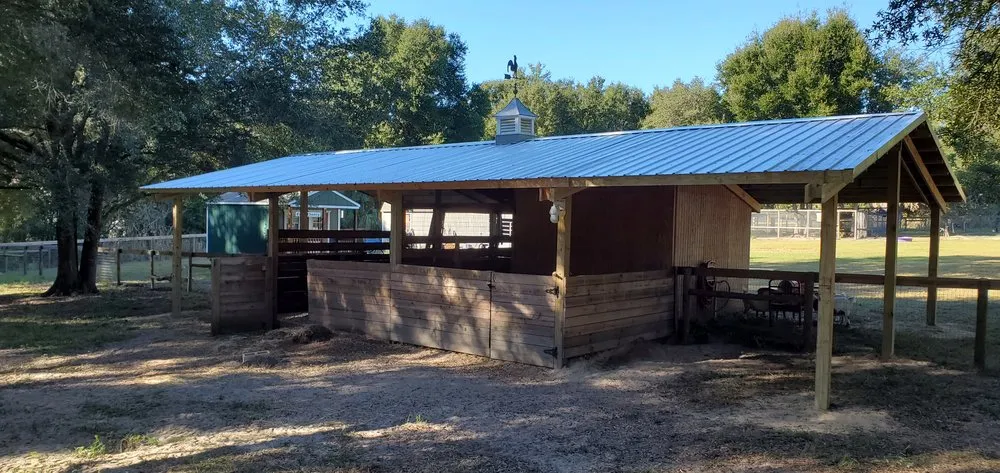 Professional lawn care service experts serving Groveland, FL - Always Passin Grass