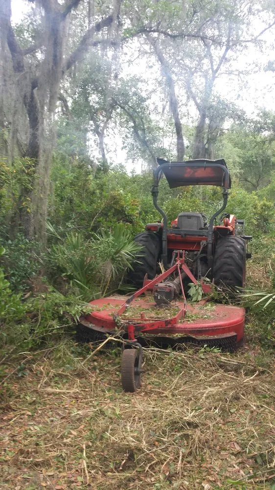 Expert yard cleanup service in Groveland, FL - Always Passin Grass