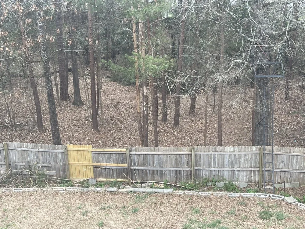 Reliable yard maintenance in York, SC by Always Professional