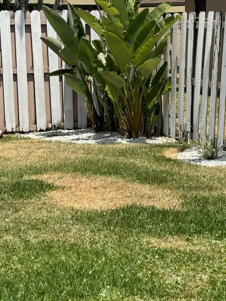 Local yard maintenance experts serving Pompano Beach, FL - Always Right Lawn Care